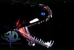 Deep  Dragon Fish on Deep Sea Dragon Fish   Melanostomias