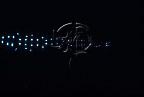 Click here to see further Lanternfish photos and pictures
